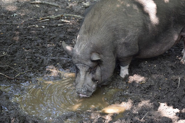 绿色可持续 绿色可持续