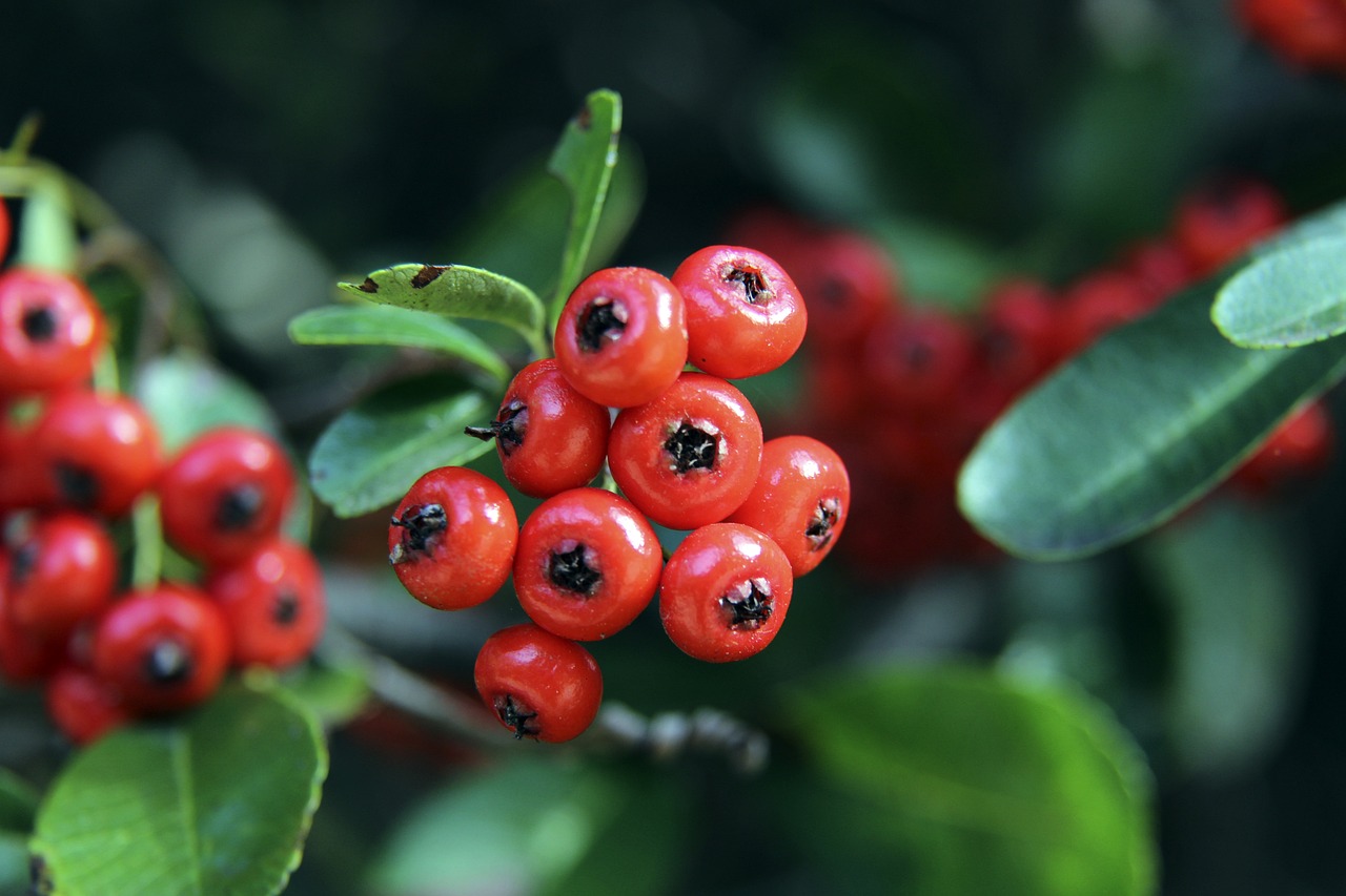 疑是此次赛 疑是此次赛