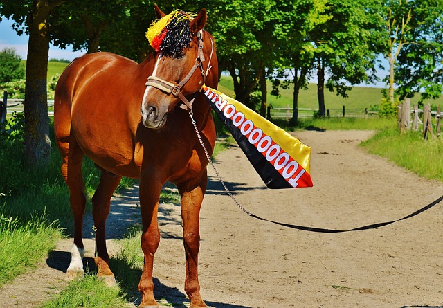 未来的战略 未来的战略