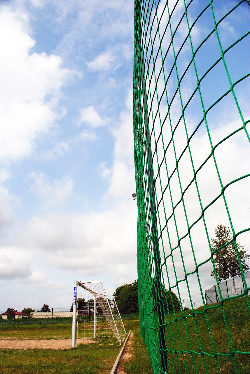 令他的天赋 令他的天赋